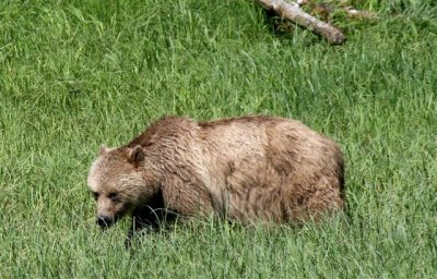IMG_0195.JPG