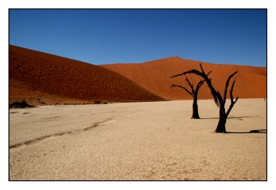 Sossusvlei.(Namibie)