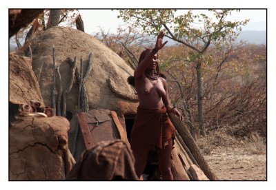 Himba's