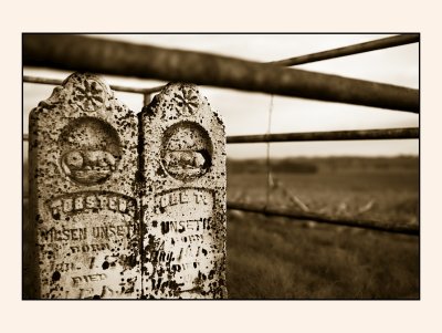 cornfield graves