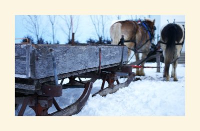 Amish Sleigh