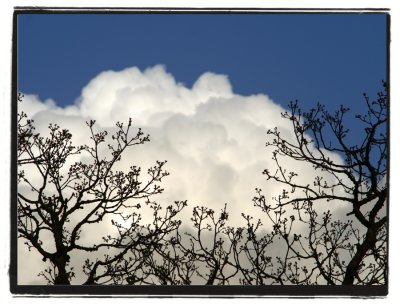 cloud silhouette