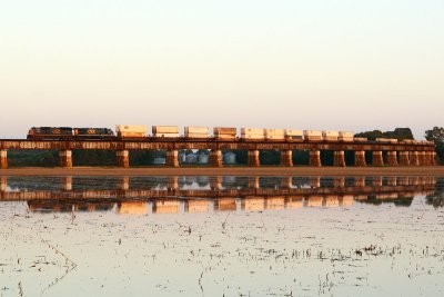 A hot UPS/mail train reflects in the standing water along the viaduct over Ohio River bottoms south of Evansville IN