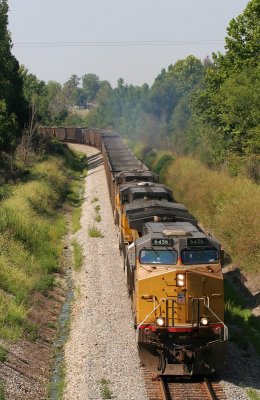 g6/91/484291/3/83880653.eIpAqTFn.jpg