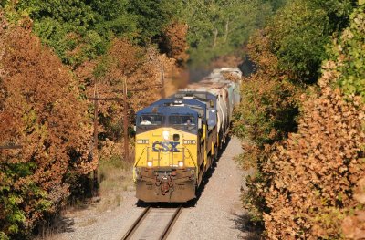 SB train Q645 pulls past Bypass Junction enroute to Howell Yards at Evansville. CSX apparantly sprayed the trees, hence the dead foliage.