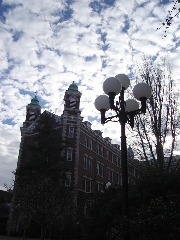 Culinary Institute of America