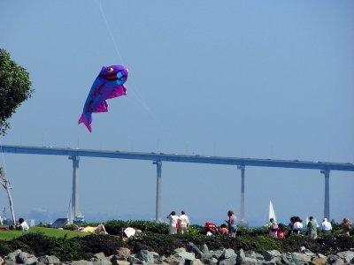 Cool Kite