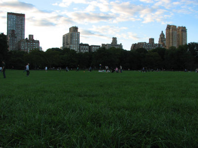 Central Park Meadow