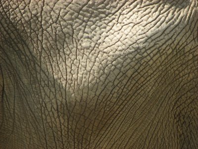 g6/91/504291/3/85899645.uJ68N9K9.jpg