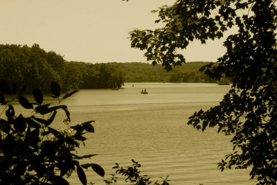 _MG_1938.JPG