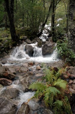 Upper Falls - Glen Nevis