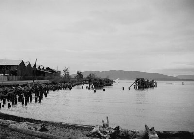 Alaska Ferry