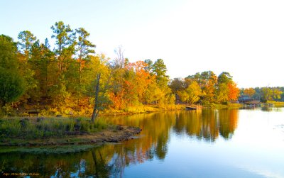fall_06