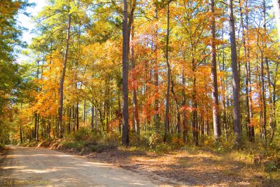 Nov1206009-Enon-Rd.-2.jpg