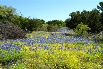 spring_07