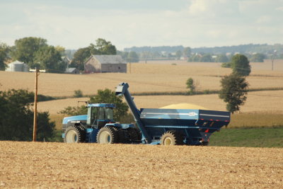 Harvest Scenery3.JPG