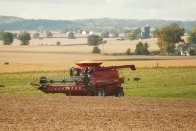Harvest Scenery13.JPG