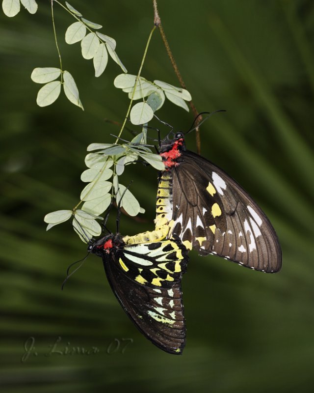 _MG_6564.jpg