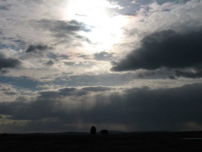 g6/91/589591/3/74217294.biqoyLj6.jpg