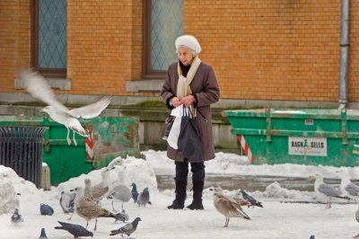 Feeding the Birds Oslo