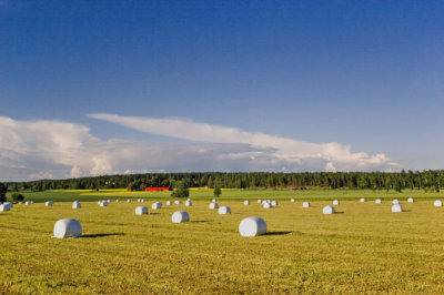 Tractor eggs