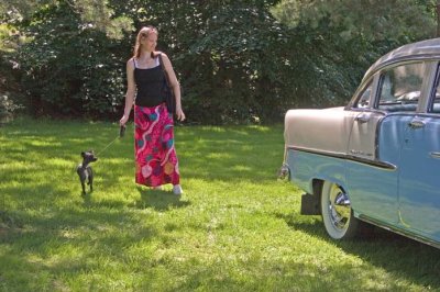 The Dog the Girl and the Vintage Car