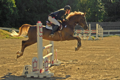 Golden Jumper