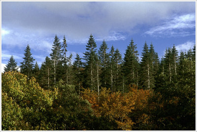 Gogledd Cymru - North Wales