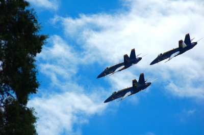 The Blue Angels 2007