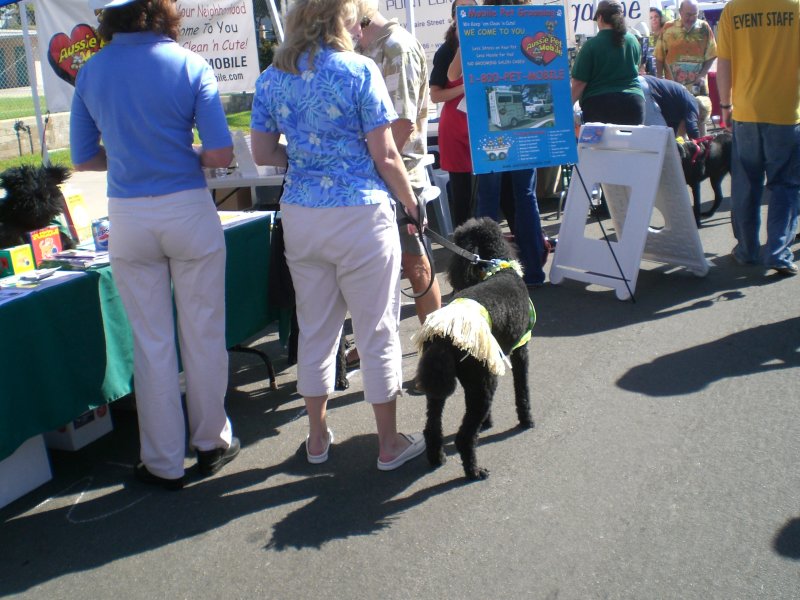 Hula poodle