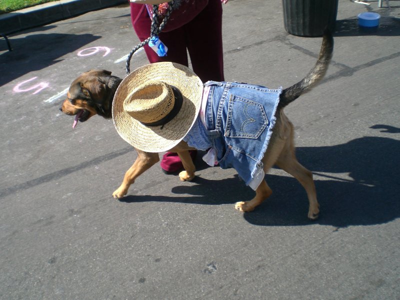 Daisy Duke
