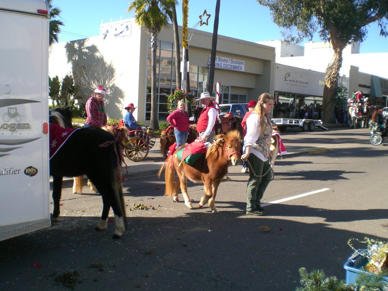 Mini horse staging area!