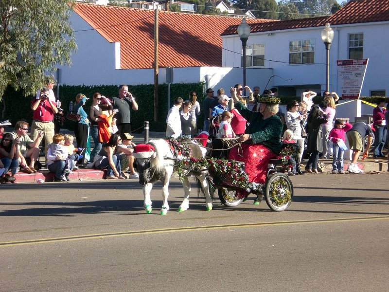 Finally, the mini horses!