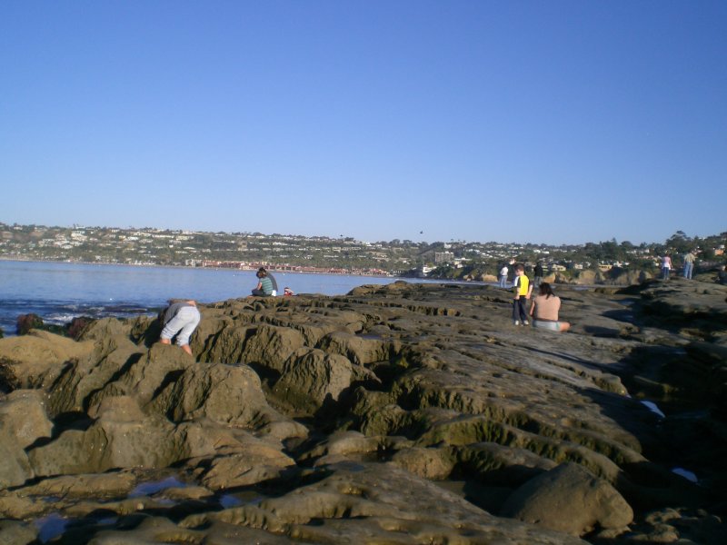 Tide pools