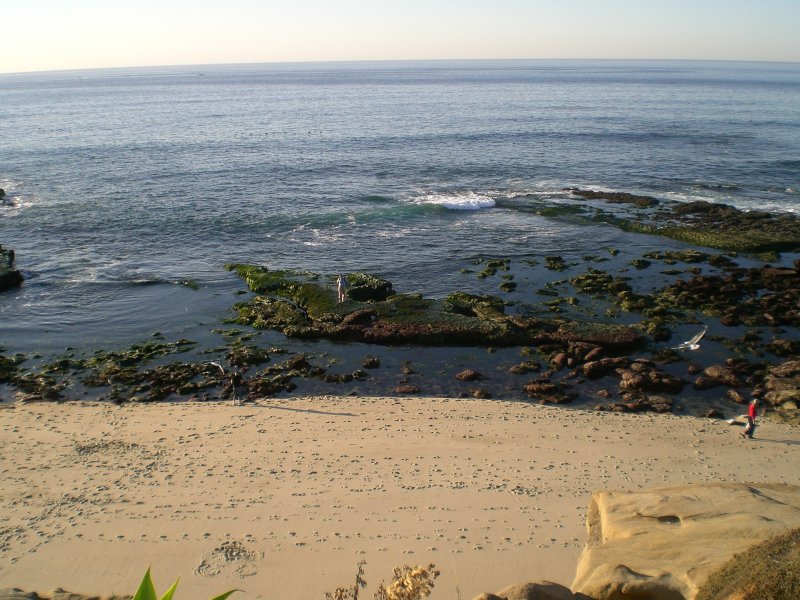 Footprints galore