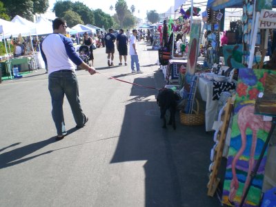 Welcome to the Canine Carnival
