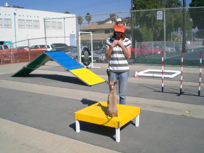 5 second sit