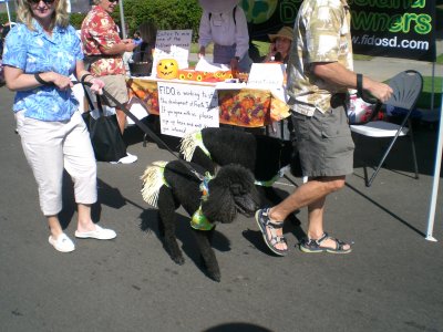 Two hula poodles