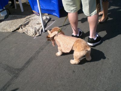 I think that's a giraffe