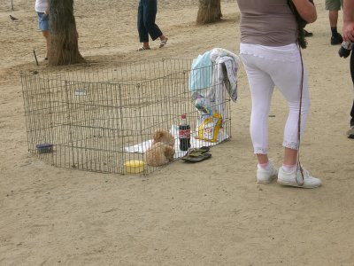 Those puppies will grow up strong and healthy on their diet of Lays and Coke