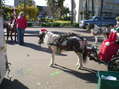 Green glittery hooves