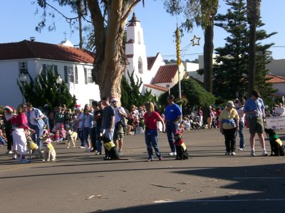 Canine Companions for Independence escorted by Girl Scouts Troop 3035