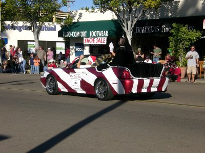 They've got big paws and big capes in Vista