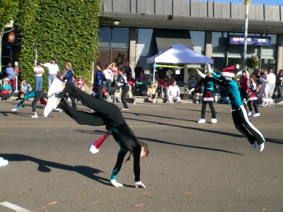 La Jolla Gymnastics Team