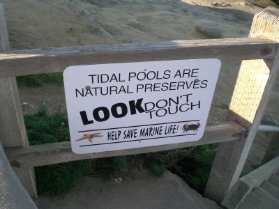 Tide pools are like another man's wife...look, but don't touch