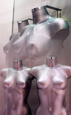 Torso