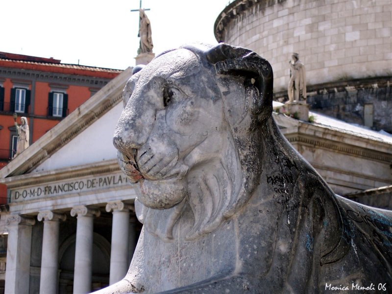 Wild animal stuck in stone