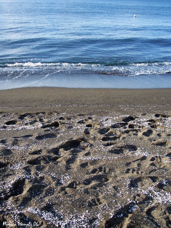 Footprints