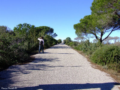 Uccellina park trial A7