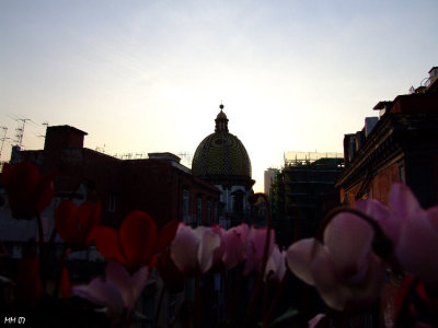 View from balcony on S. Pietro martire church